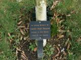 image of grave number 190768
